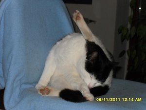 berauscht 003 [800x600].jpg