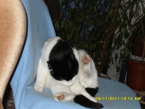 berauscht 004 [800x600].jpg