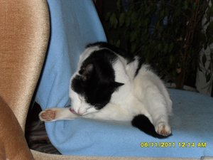 berauscht 005 [800x600].jpg