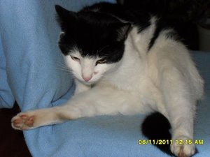 berauscht 006 [800x600].jpg