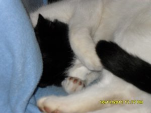 berauscht 009 [800x600].jpg