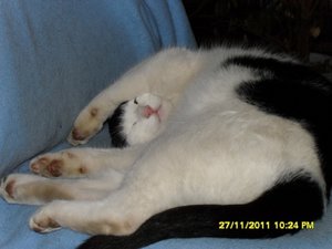 berauscht 011 [800x600].jpg