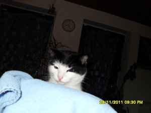 berauscht 012 [800x600].jpg