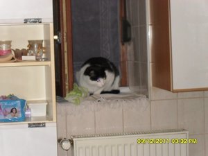 berauscht 013 [800x600].jpg