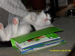 neue Mütze 2 106 [800x600].jpg