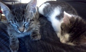 2011-08-30 21.31.51.jpg