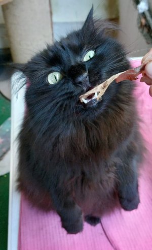 WhatsApp Bild 2023-09-30 um 15.25.57.jpg