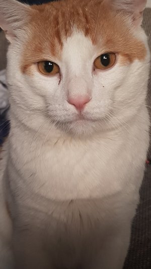 20171214_085338 (2020_12_03 08_48_33 UTC).jpg