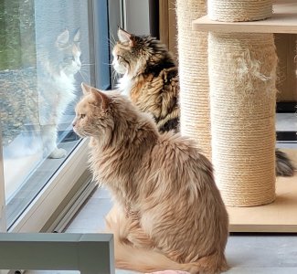 20230808_114523.jpg 20230808_114523.jpg