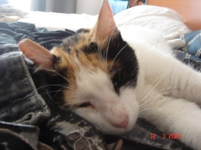 Mein kleines Mädchen im Zimmer 5.JPG