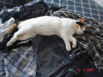 Mein kleines Mädchen auf dem Bett 4.JPG