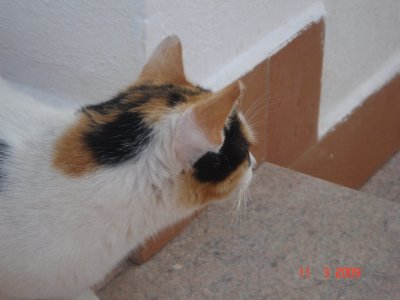 Mein kleines Mädchen auf dem Weg zu meinem Zimmer 4 wo gehts denn dahin.JPG