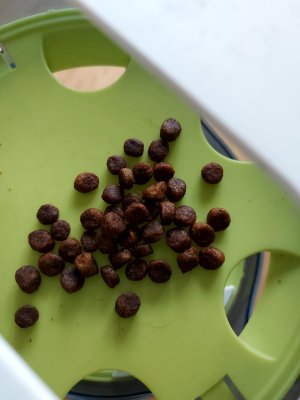 WhatsApp Bild 2023-11-14 um 11.07.55_bd91186e.jpg