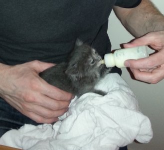 20150514_004734 (2).jpg