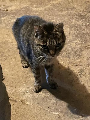 1000028514.jpg 1000028514.jpg