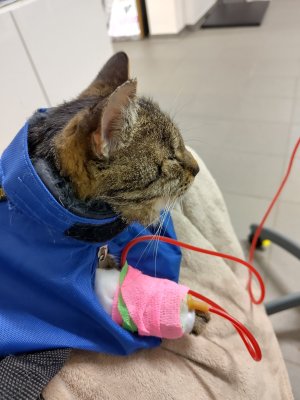 1000030187.jpg 1000030187.jpg