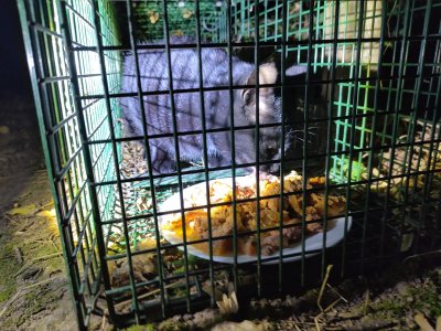 1000023639.jpg 1000023639.jpg