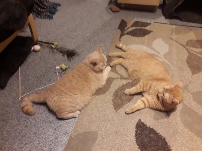 20210725_224022 (2).jpg