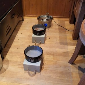 20240111_095959.jpg 20240111_095959.jpg