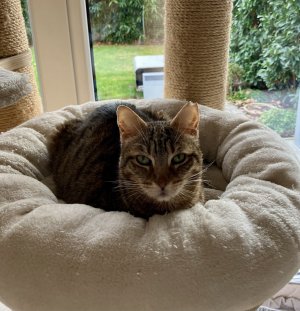 IMG_4024.jpeg IMG_4024.jpeg