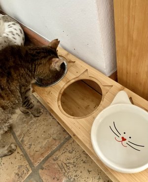 IMG_4133.jpeg IMG_4133.jpeg