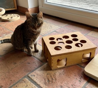 IMG_1349.jpeg IMG_1349.jpeg