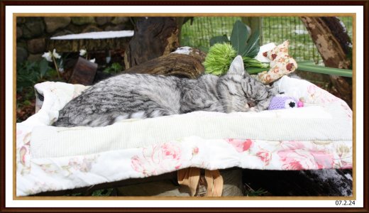 Vronis Todestag.jpeg