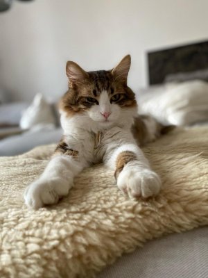 WhatsApp Bild 2024-02-19 um 16.06.49_dbd2fe91.JPG