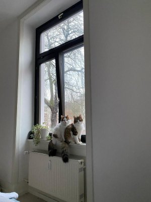 WhatsApp Bild 2024-02-19 um 16.07.13_82f80562.JPG