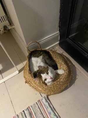 WhatsApp Bild 2024-02-19 um 16.08.20_aa40a213.JPG