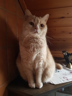 20231230_153705.jpg 20231230_153705.jpg