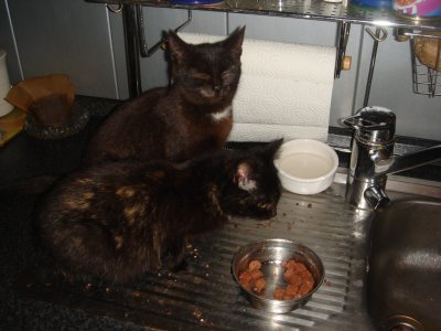 Liese Meitner undv Schwester Amalie Emmi Noeter.JPG