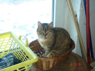 Shien Shuang Wu (3).JPG