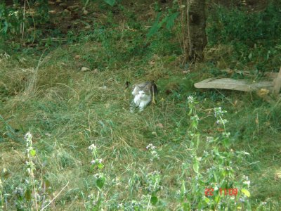 Nils Bohr 22.07.2016 02.JPG