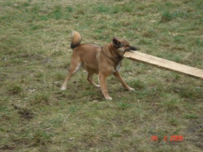 05 Pucki hilft beim Bau.JPG