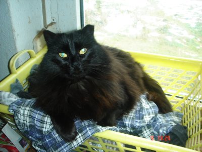 DSC07412 Keppler.JPG