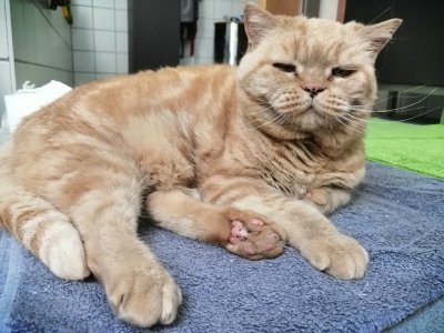 IMG_20230715_123307 1.jpg