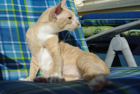 IMGP5044.JPG IMGP5044.JPG