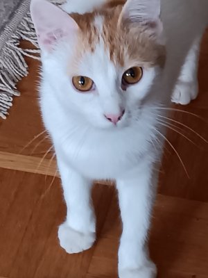 20240328_103441.jpg 20240328_103441.jpg