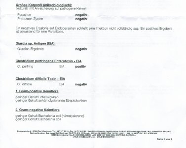 Quenya´s Kotprobe I.jpg