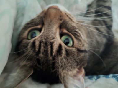 WhatsApp Bild 2024-05-13 um 14.32.19_9d13ca8f.jpg