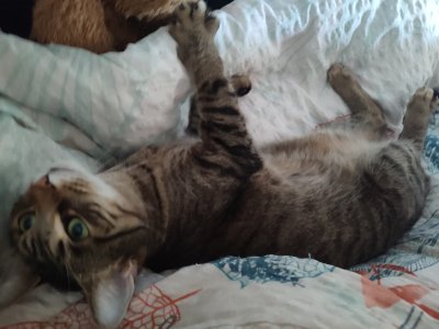 WhatsApp Bild 2024-05-13 um 14.32.19_54efc27b.jpg