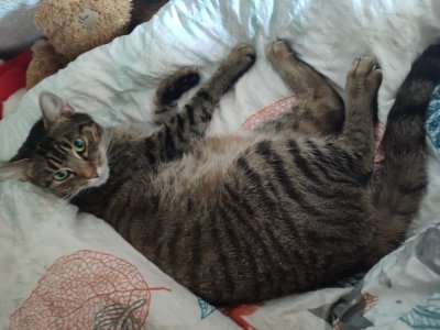 WhatsApp Bild 2024-05-13 um 14.32.19_394f56f6.jpg