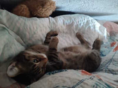 WhatsApp Bild 2024-05-13 um 14.32.19_ab0d1dd6.jpg