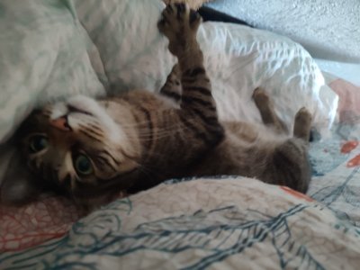 WhatsApp Bild 2024-05-13 um 14.32.19_c5efe837.jpg