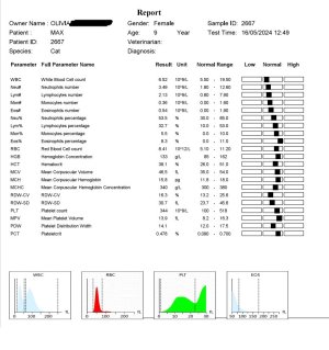 Max, Blutwerte 1.jpg