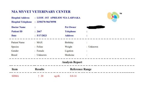 Max, Blutwerte, SDMA.jpg