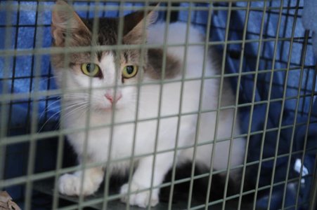 2018-09-06-bild06gsdq9.jpg 2018-09-06-bild06gsdq9.jpg