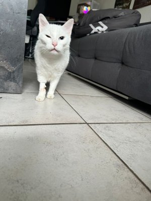 WhatsApp Image 2024-05-27 at 17.52.50.jpeg