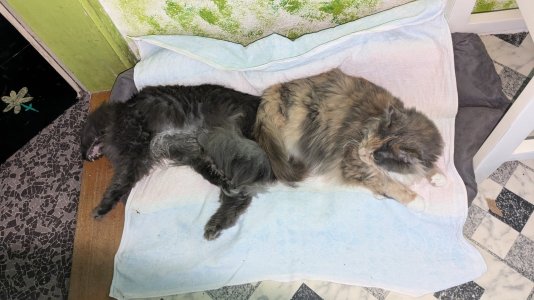 PXL_20240712_141204672.jpg PXL_20240712_141204672.jpg